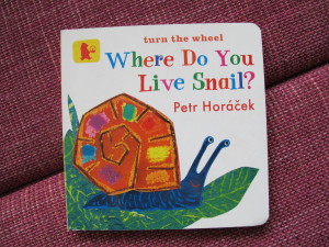 where-do-you-live-snail