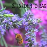 Prečítané leto: knižky o rastlinkách (2. týždeň)